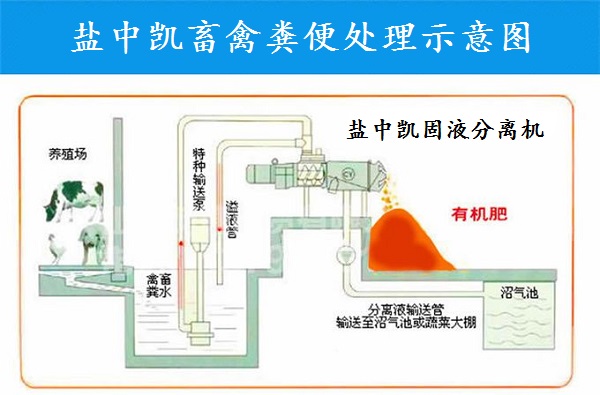 麻豆影视在线直播视频